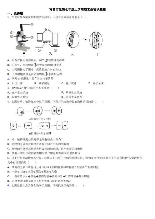 南昌市生物七年级上学期期末生物试题题