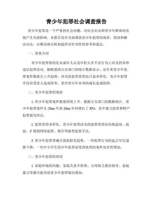 青少年犯罪社会调查报告