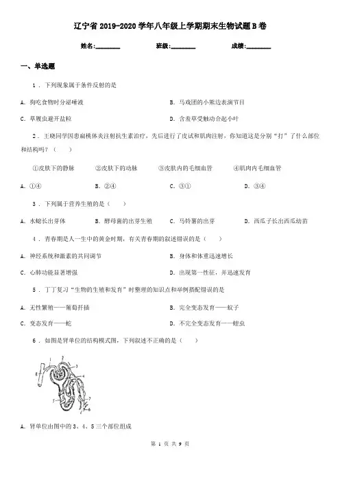 辽宁省2019-2020学年八年级上学期期末生物试题B卷