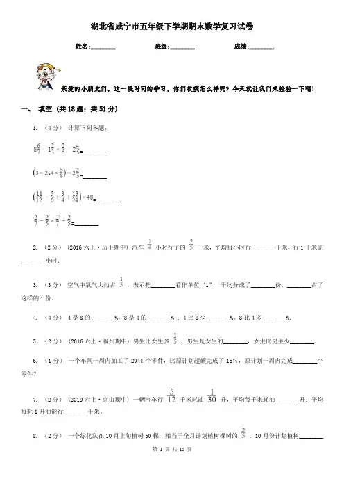 湖北省咸宁市五年级下学期期末数学复习试卷