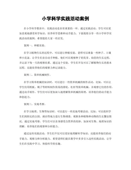 小学科学实践活动案例