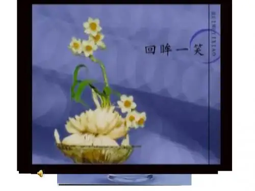 《第4单元 花卉盆景技术——水仙盆景的设计与制作课件》初中劳动技术沪科教版七年级课件7216