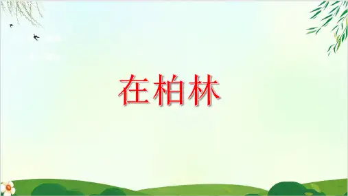 (六上)六年级上册语文课件-第14课 在柏林 PPT精品课件 部编版(28张)