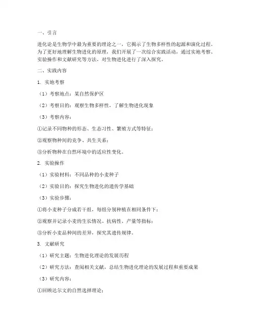 生物的进化综合实践作业