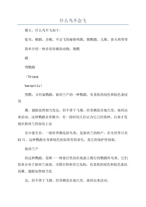 什么鸟不会飞