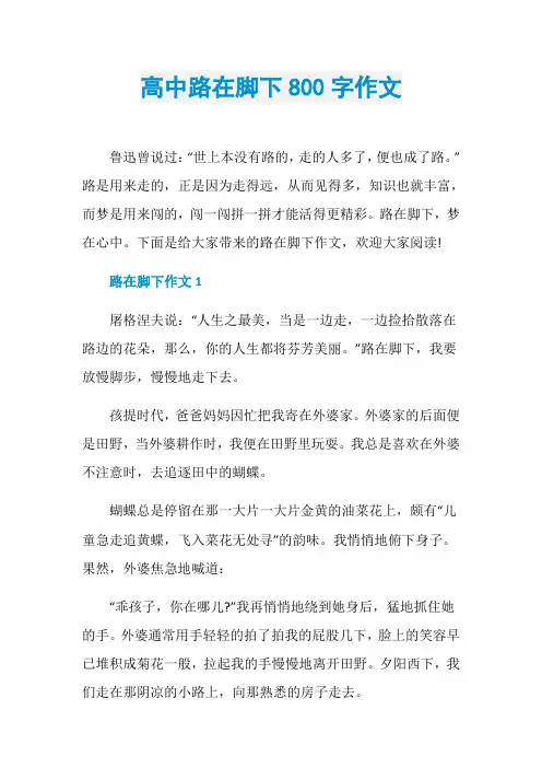高中路在脚下800字作文