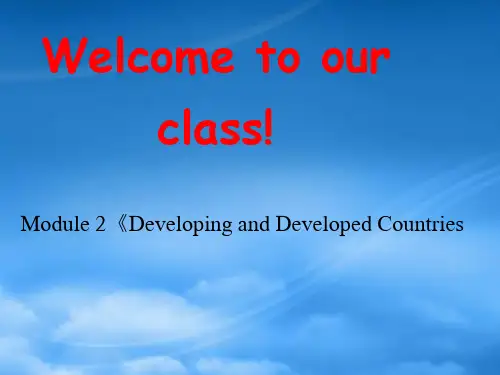 高中英语 Module2《Developing and Developed Countries》课件