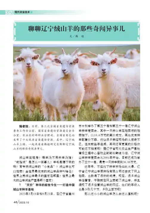 聊聊辽宁绒山羊的那些奇闻异事儿