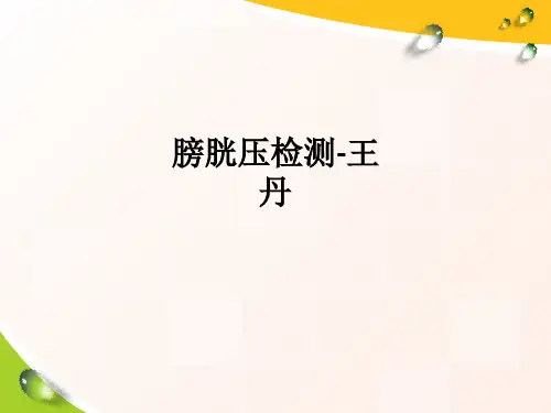 膀胱压检测ppt课件