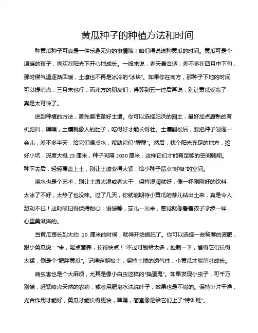 黄瓜种子的种植方法和时间