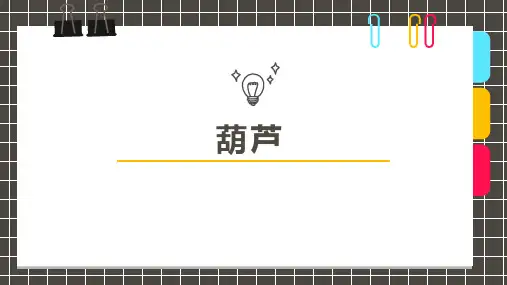 《葫芦》少儿水彩笔美术PPT课件