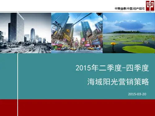 20150320-海域阳光-2015年二季度-四季度营销策略