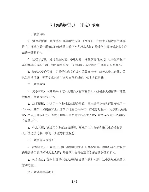 6《骑鹅旅行记》(节选)(教案)部编版语文六年级下册