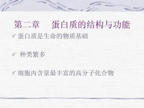第二章  蛋白质的结构与功能
