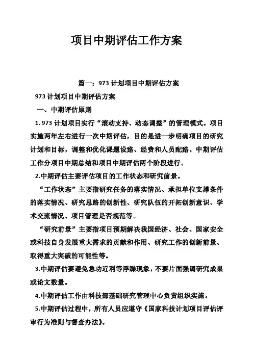 项目中期评估工作方案