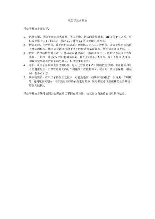 风信子怎么种植