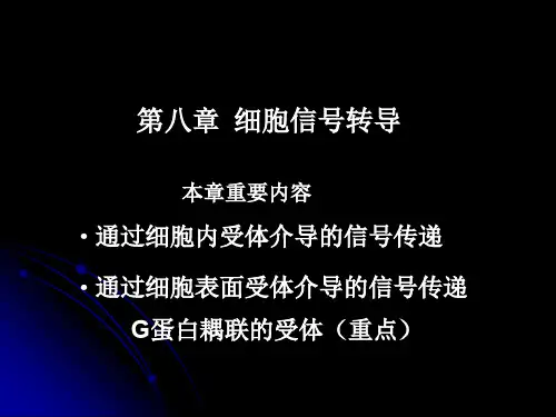 细胞生物学：第9章 细胞通讯与信号传递