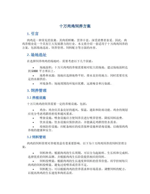 十万肉鸡饲养方案