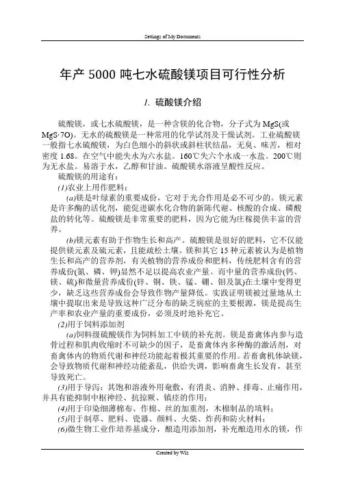 年产5000吨七水硫酸镁项目可行性分析