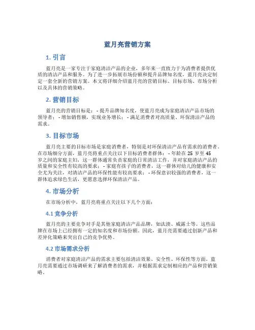 蓝月亮营销方案