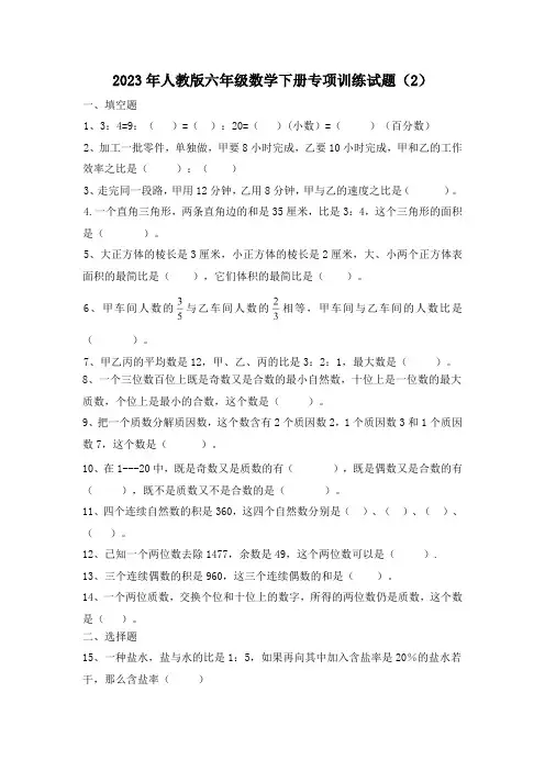 2023年人教版六年级数学下册专项训练试题(2)