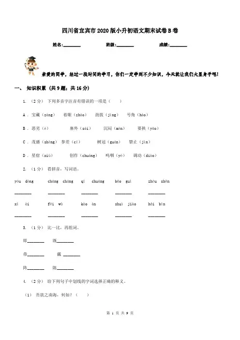 四川省宜宾市2020版小升初语文期末试卷B卷