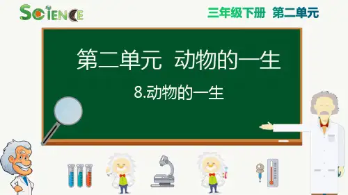 最新科教版三年级科学下册《动物的一生》精品课件