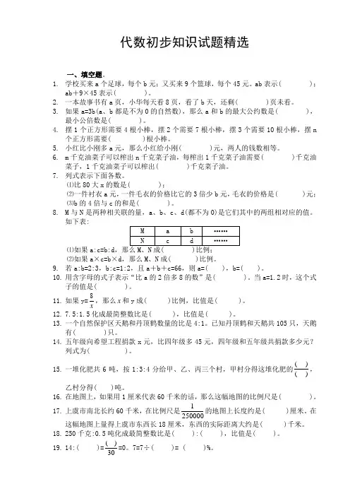 人教版六年级数学代数初步知识练习题