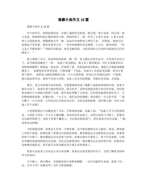 观察小鱼作文15篇