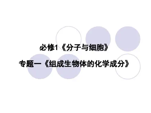 高中生物元素化合物详细讲义