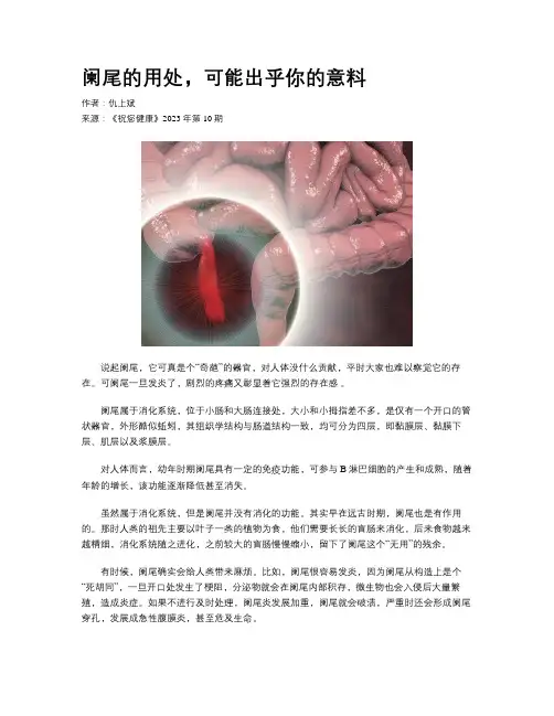 阑尾的用处，可能出乎你的意料