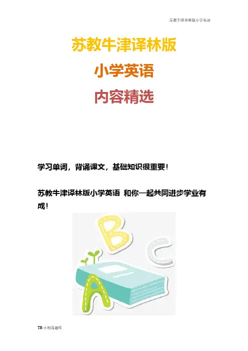 苏教牛津译林版小学英语六年级下册Unit 6 An interesting country 教案 3