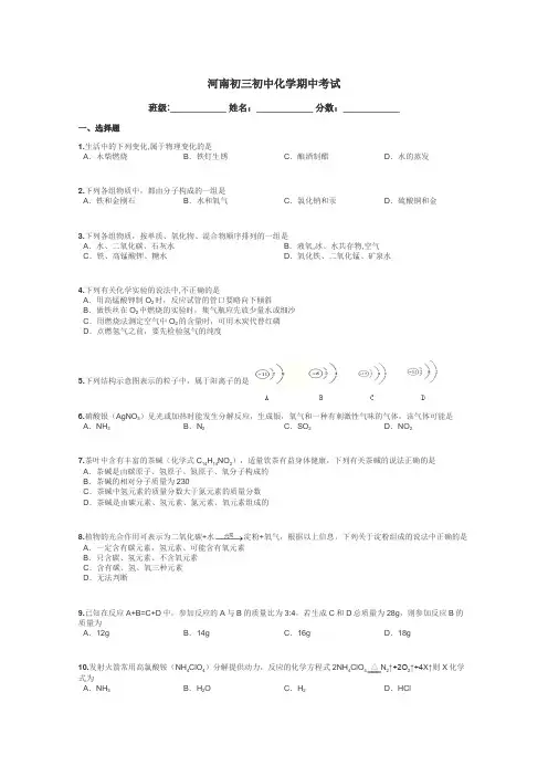 河南初三初中化学期中考试带答案解析
