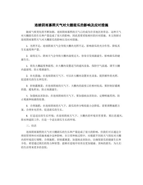 连续阴雨寡照天气对大棚甜瓜的影响及应对措施