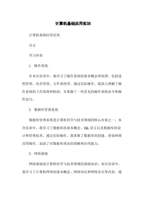 计算机基础应用实训总结