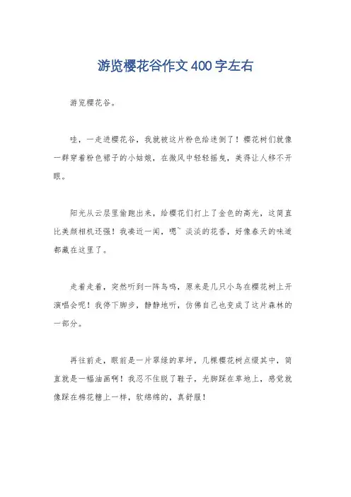 游览樱花谷作文400字左右