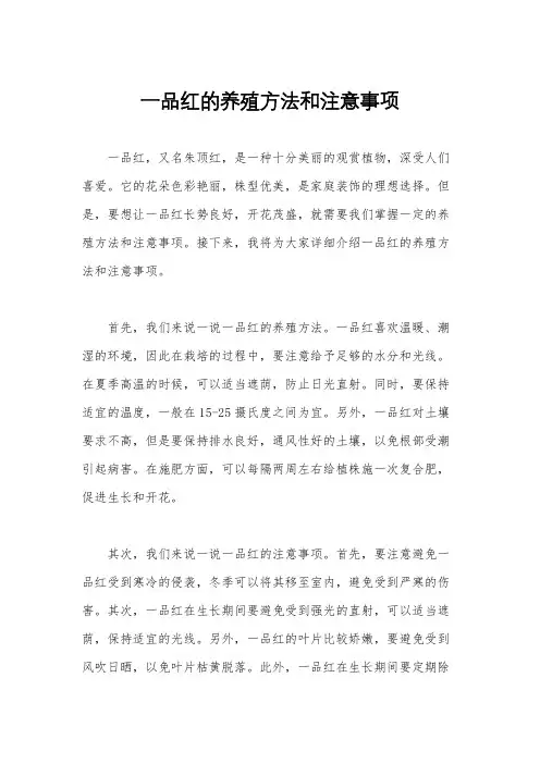 一品红的养殖方法和注意事项