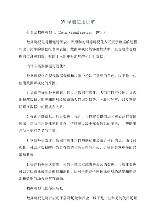 DV详细使用讲解