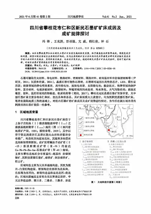 四川省攀枝花市仁和区新民石墨矿矿床成因及成矿规律探讨