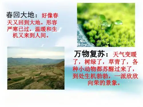 人教版小学语文一年级下册 识字1成语解释ppt课件