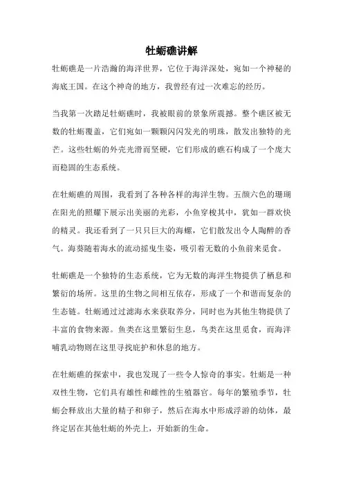 牡蛎礁讲解