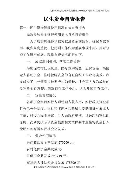 民生资金自查报告