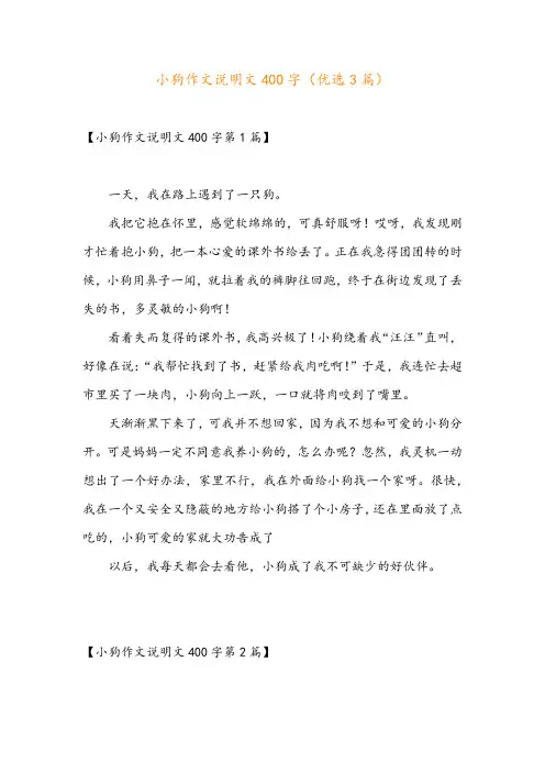 小狗作文说明文400字(优选3篇)