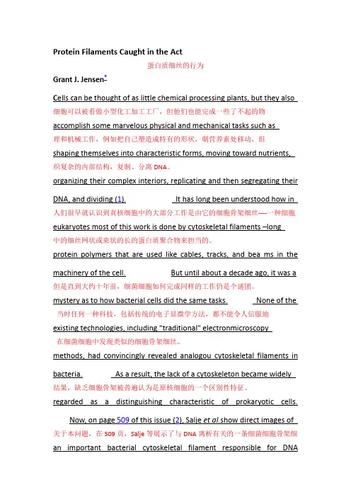 英语科技文翻译