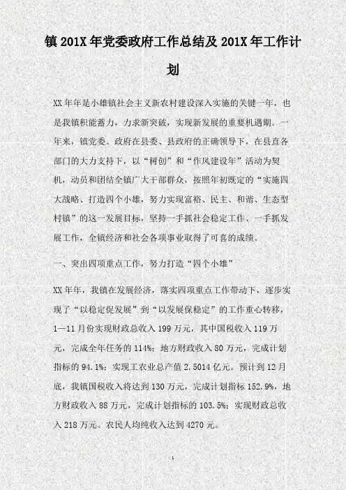镇2009年党委政府工作总结及2010年工作计划(精)
