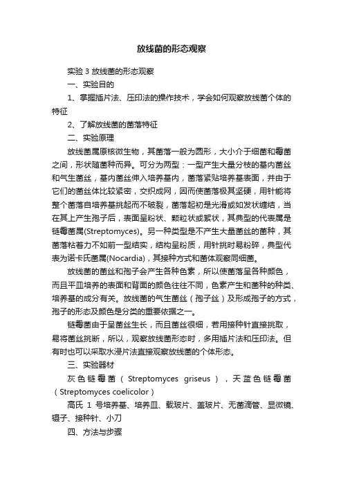 放线菌的形态观察