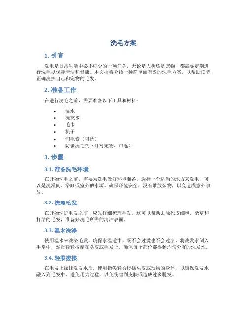 洗毛方案介绍
