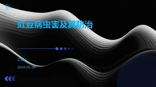 豇豆病虫害及其防治