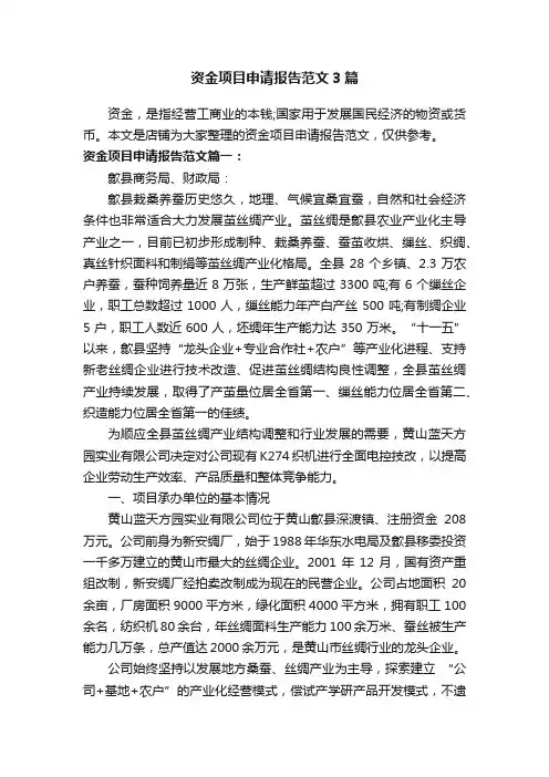 资金项目申请报告范文3篇
