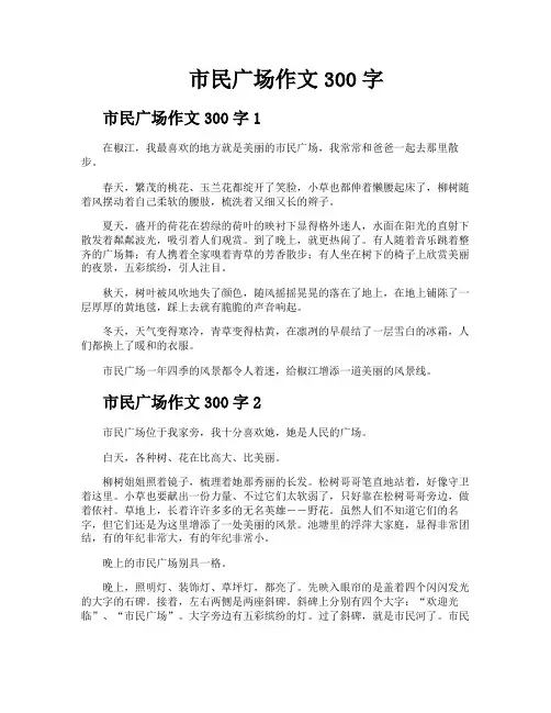 市民广场作文300字